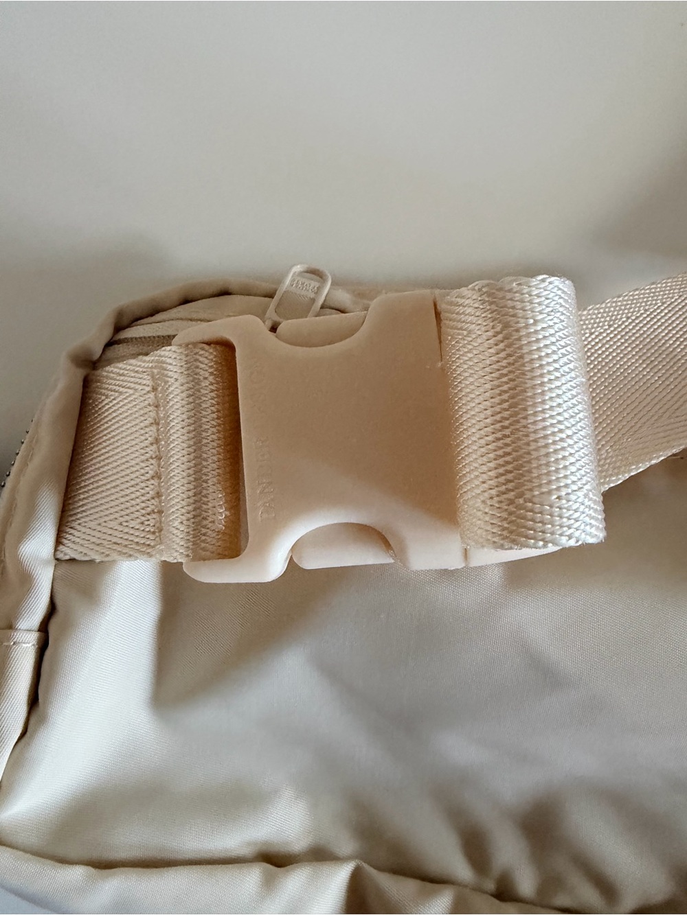 Belt Bag - Picture 5 of 8